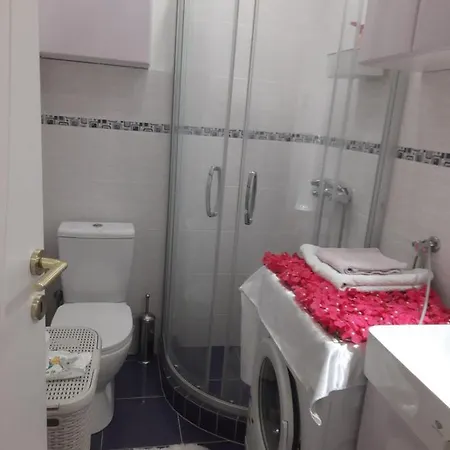 Sofija Savski * Belgrad