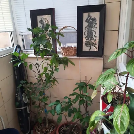 Sofija Savski Belgrad